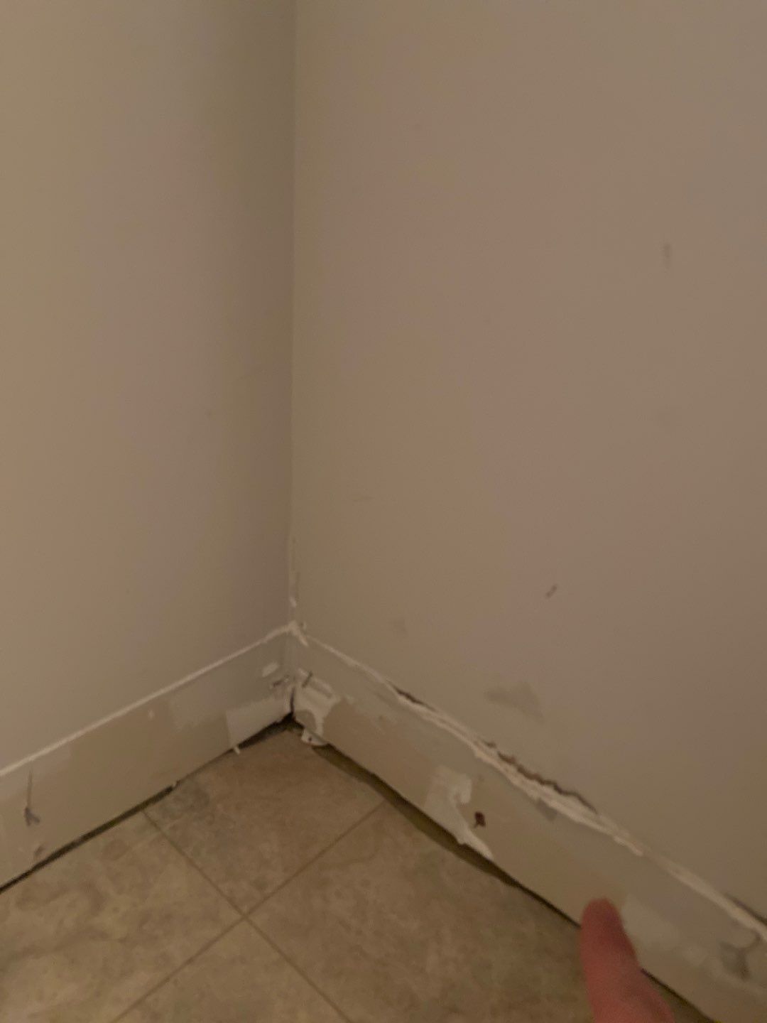 Repairs after Basement Water Damage by ANR Restoration