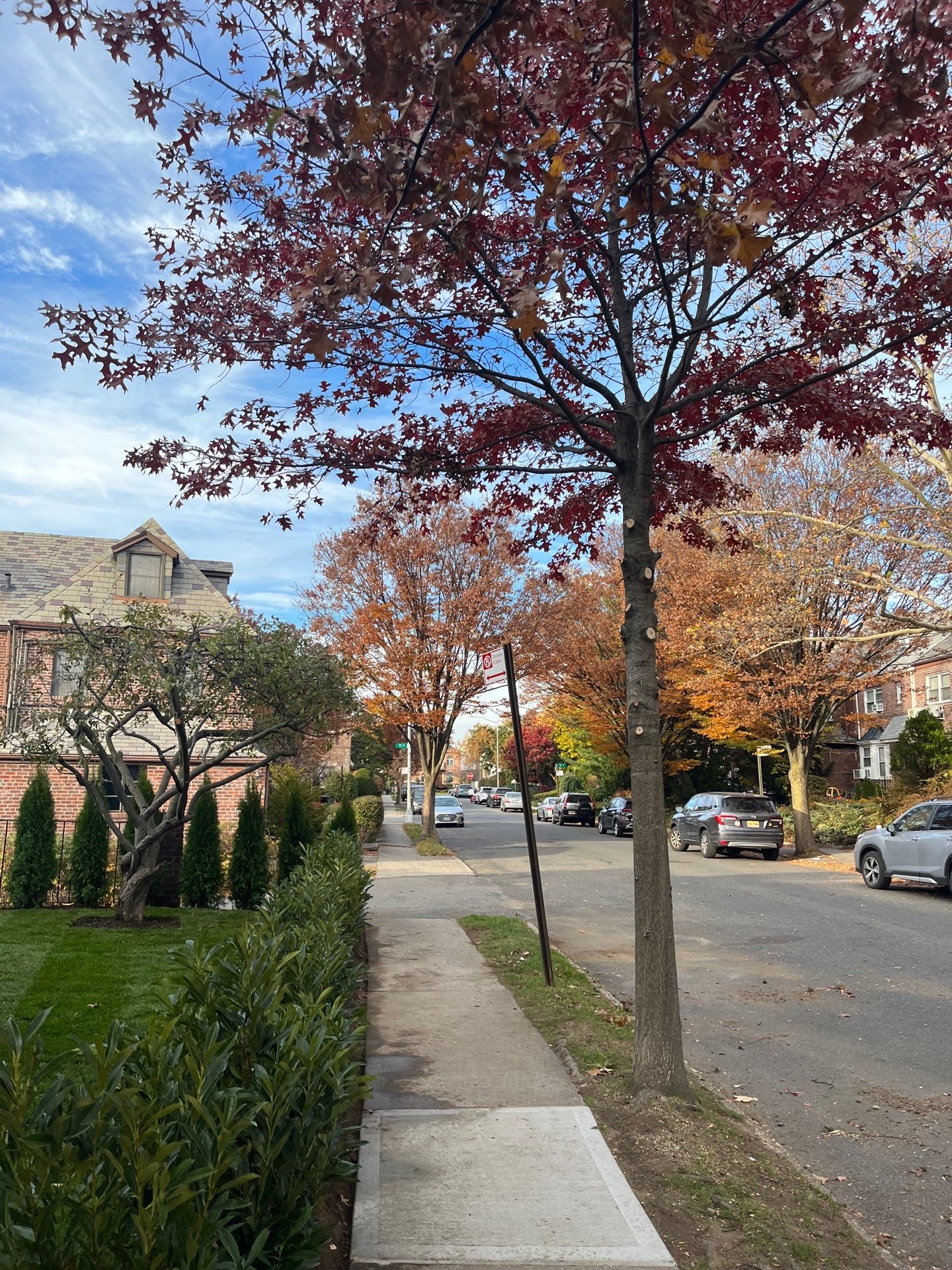 Landscape Design by elegant Lawns