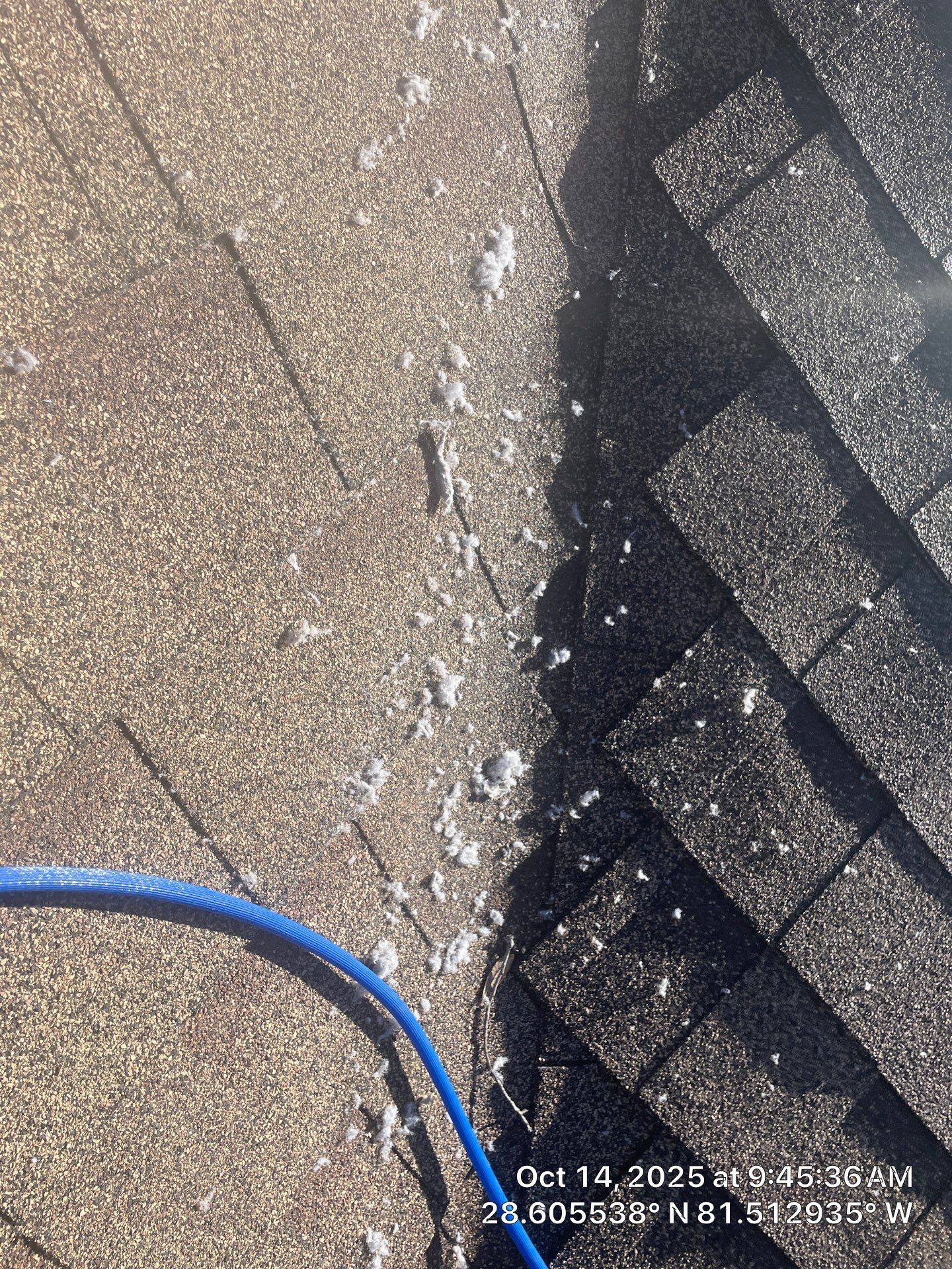 Dryer Vent Cleaning in Ocoee by Hygienic Air, Inc