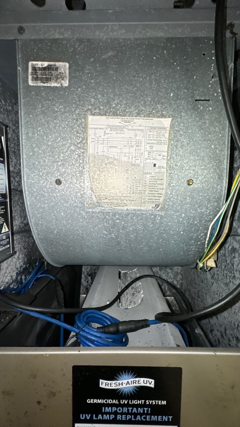 Commercial Air Duct Cleaning in Tavares by Hygienic Air, Inc