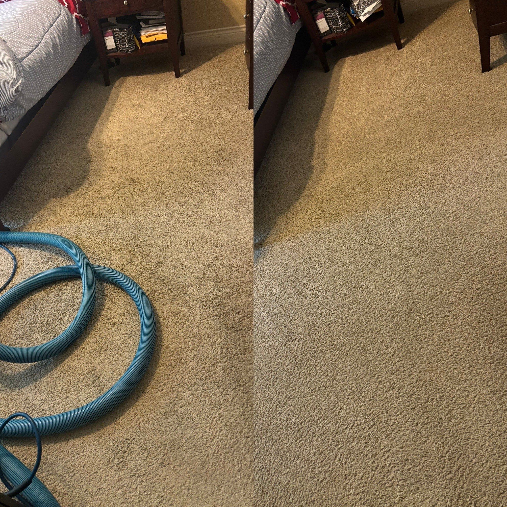 the service shown is deep carpet cleaning with visible improvement in cleanliness and texture of the carpet fibers