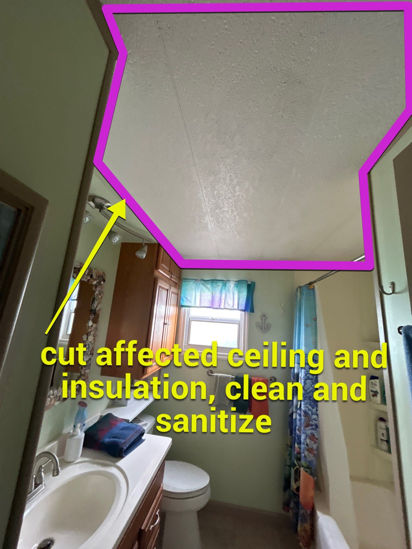 Mold Damage Inspection And Repair In Palmetto FL by Ampm Restoration Services