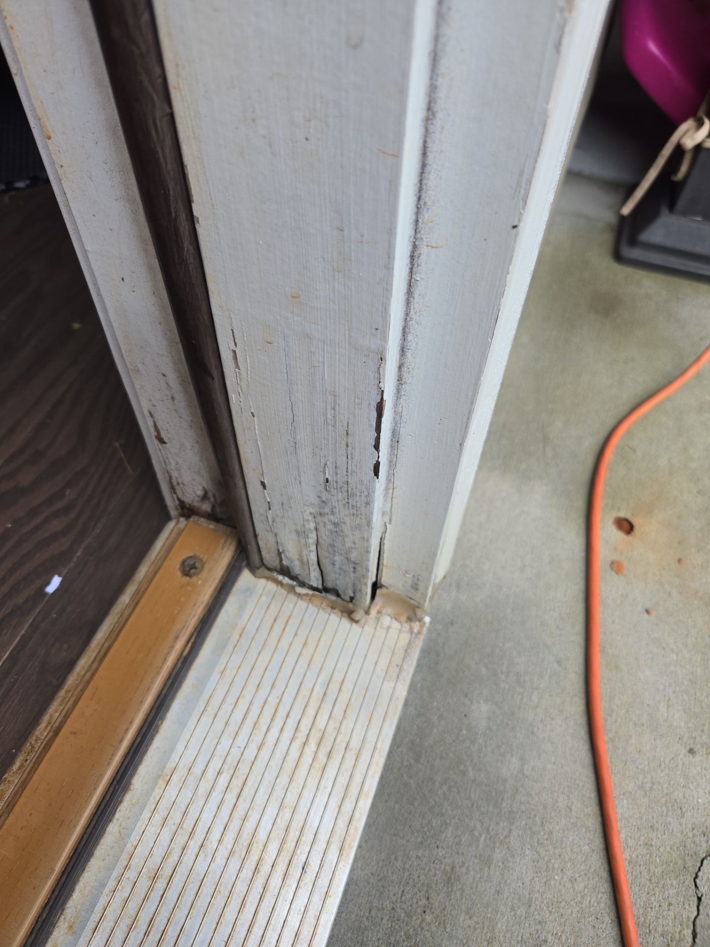 Rotted Door Replaced! Thermatru with Built-In Blinds by A Step Above Handy LLC 