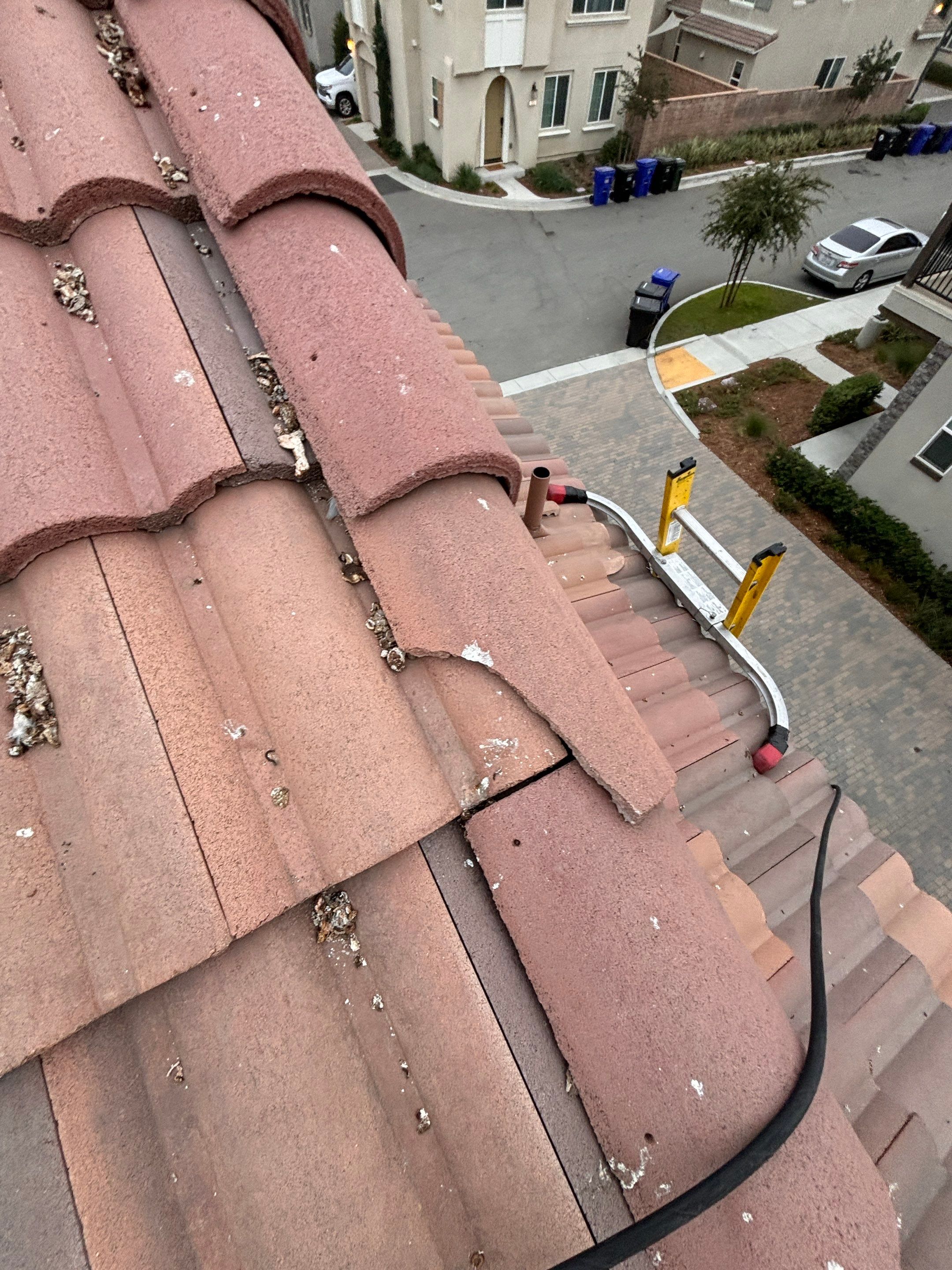 Solar Panel Bird Proofing in Fontana Ca by Palm Coast Solar Cleaning