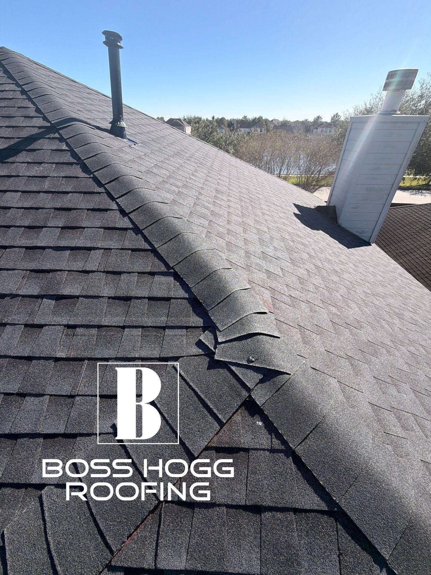 LEAH B by Boss Hogg Roofing