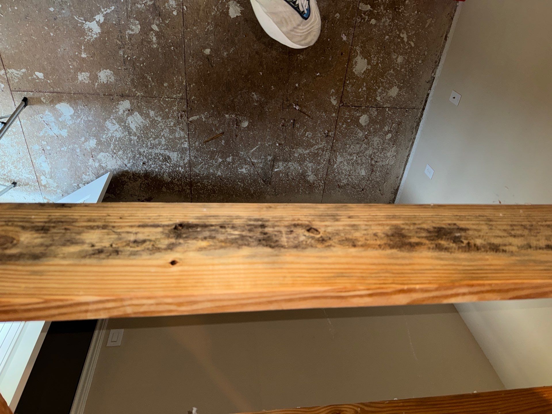 Mold Remediation Job in Katy by Team Home Solutions