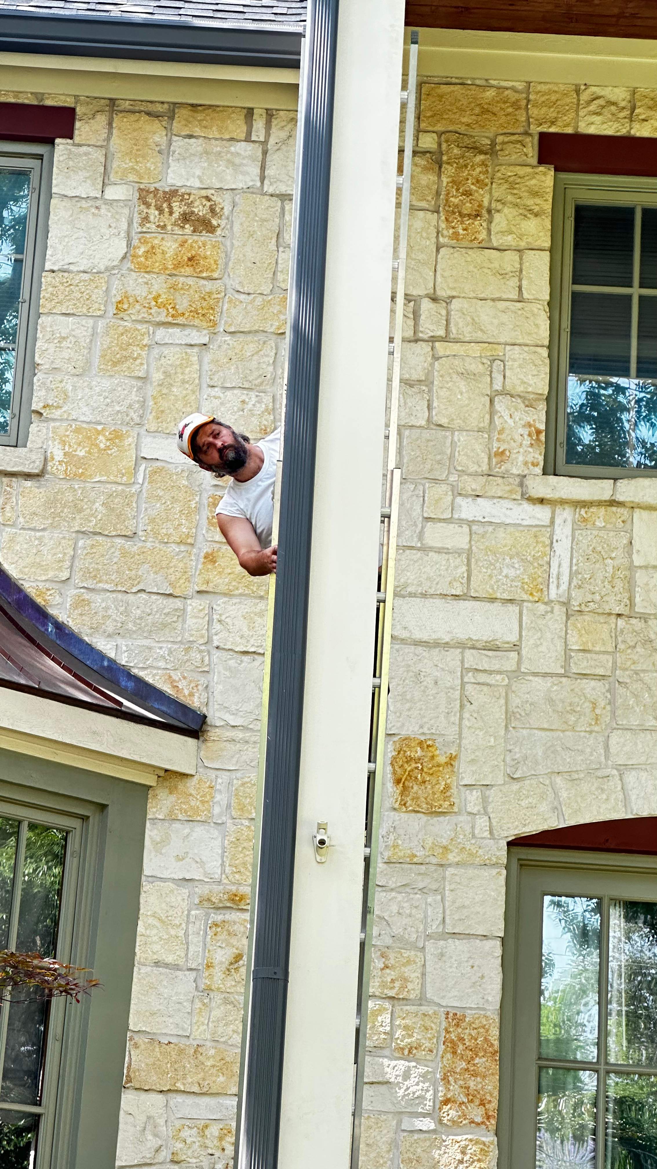 Column Bees by Rockwall Honey Bee Company