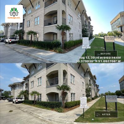 MULTI FAMILY PROPERTY: HEDGE TRIM / BED CLEAN