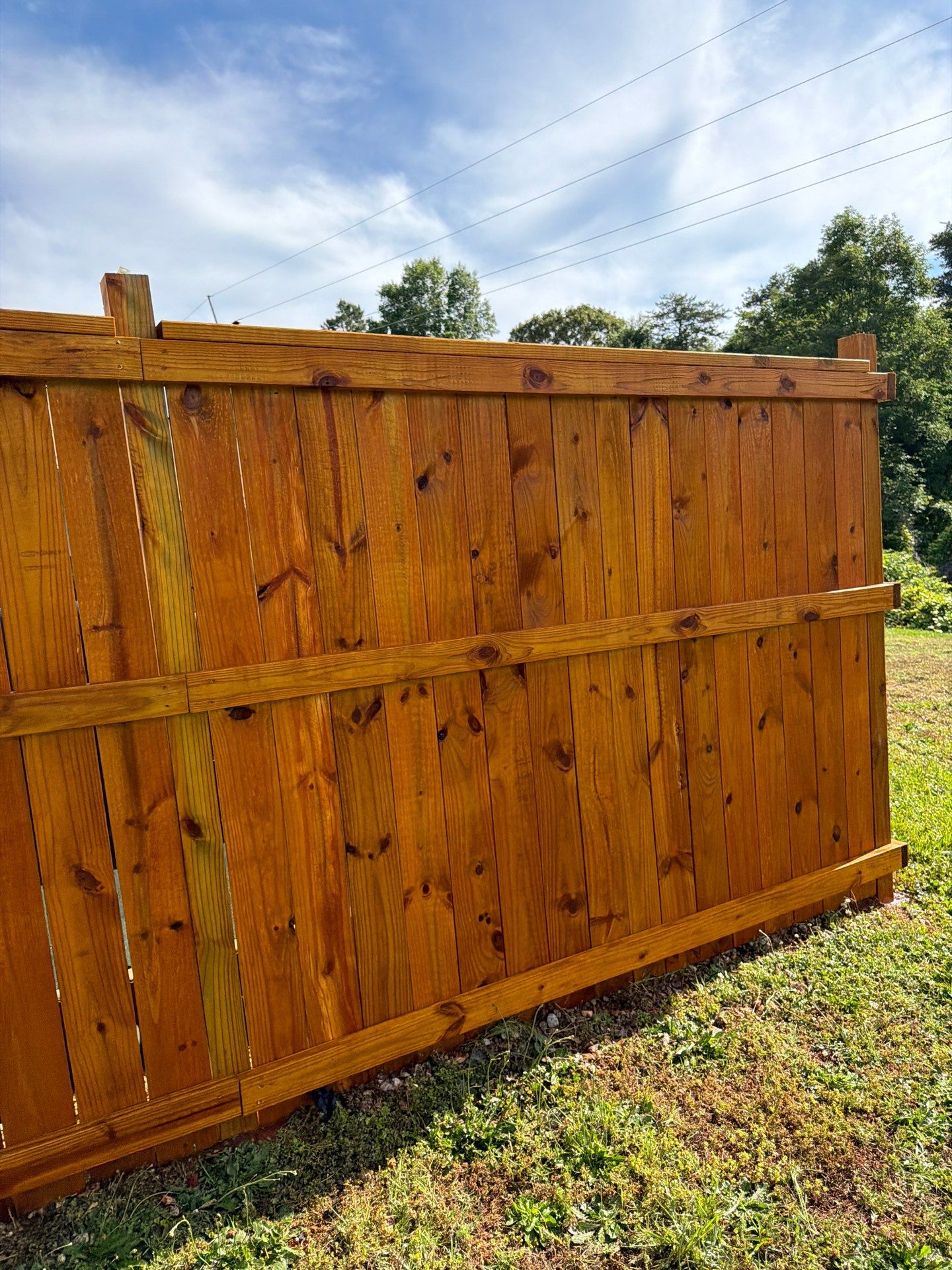 Fence using Wood Sealant by DuraSeal