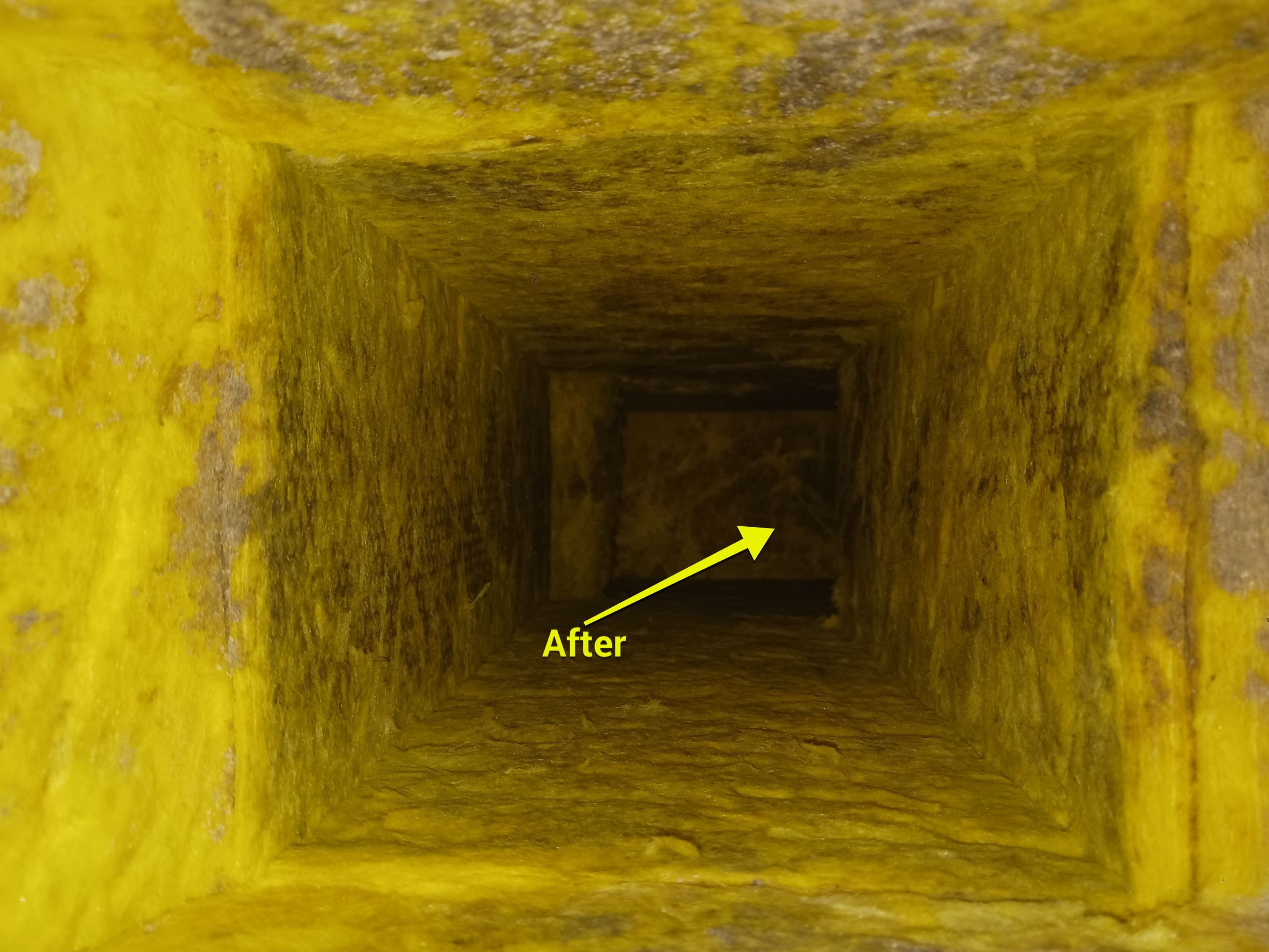 Commercial Air Duct Cleaning in Leesburg by Hygienic Air, Inc