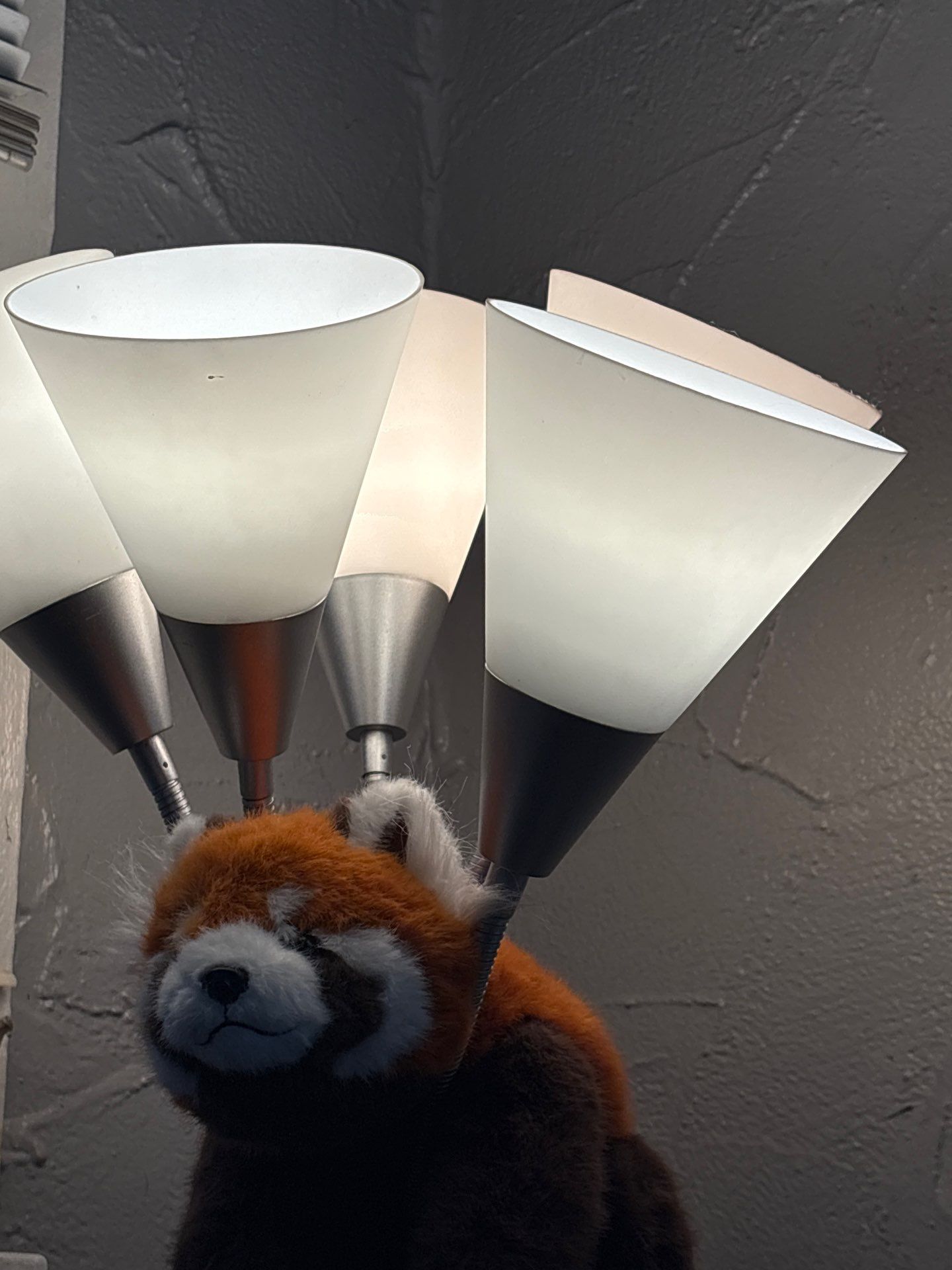 Drew by CompanyCam | Account Management Demo Account