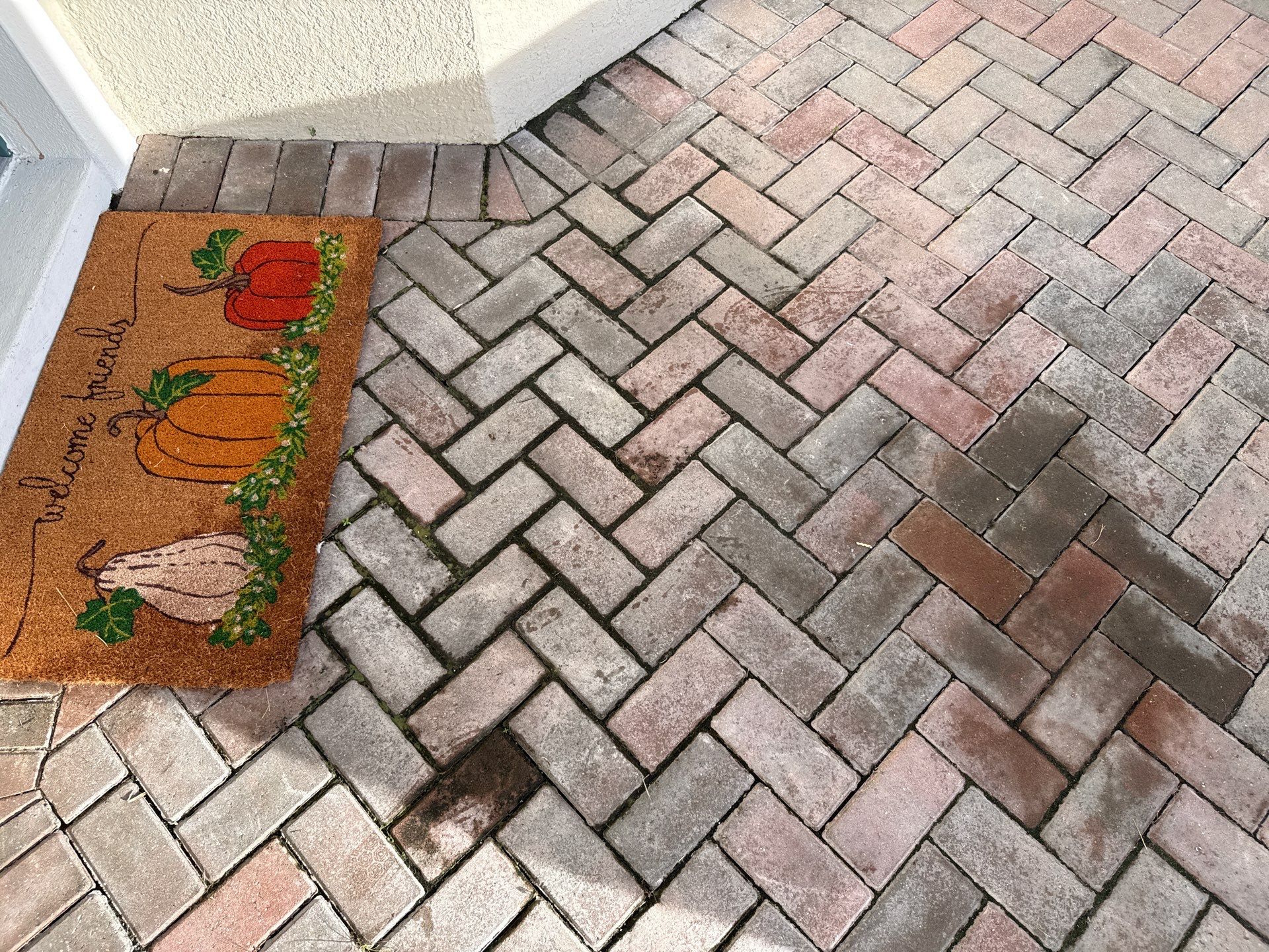 Complete House Wash, Driveway & Lanai Cleaning – Trevesta, Palmetto FL by Sunshine AquaWash
