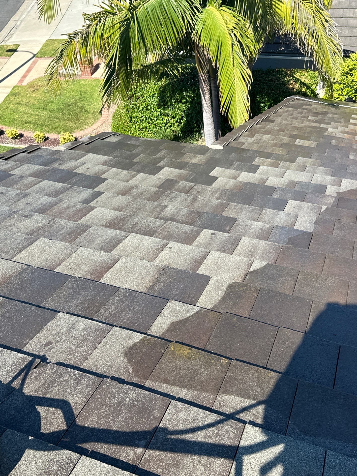 Lake Forest Pressure Washing on Roof by Property Cleaning Experts