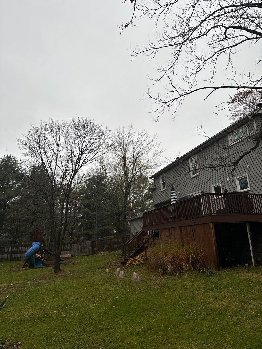 Tree Trimming using Tree Pruing by Mike Jones & Sons Tree Service LLC 