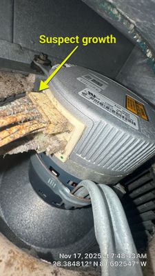 Air Duct Cleaning in Clermont