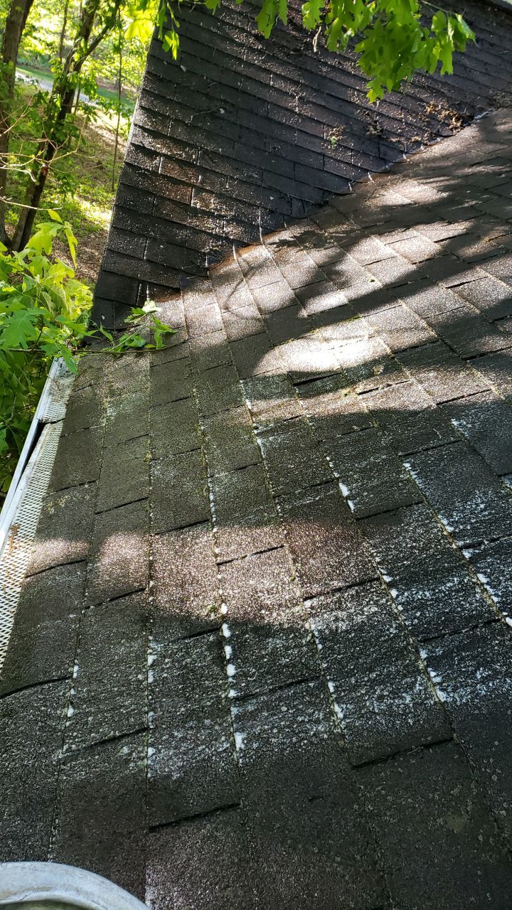 House Wash using cleaner by Power Wash Masters LLC