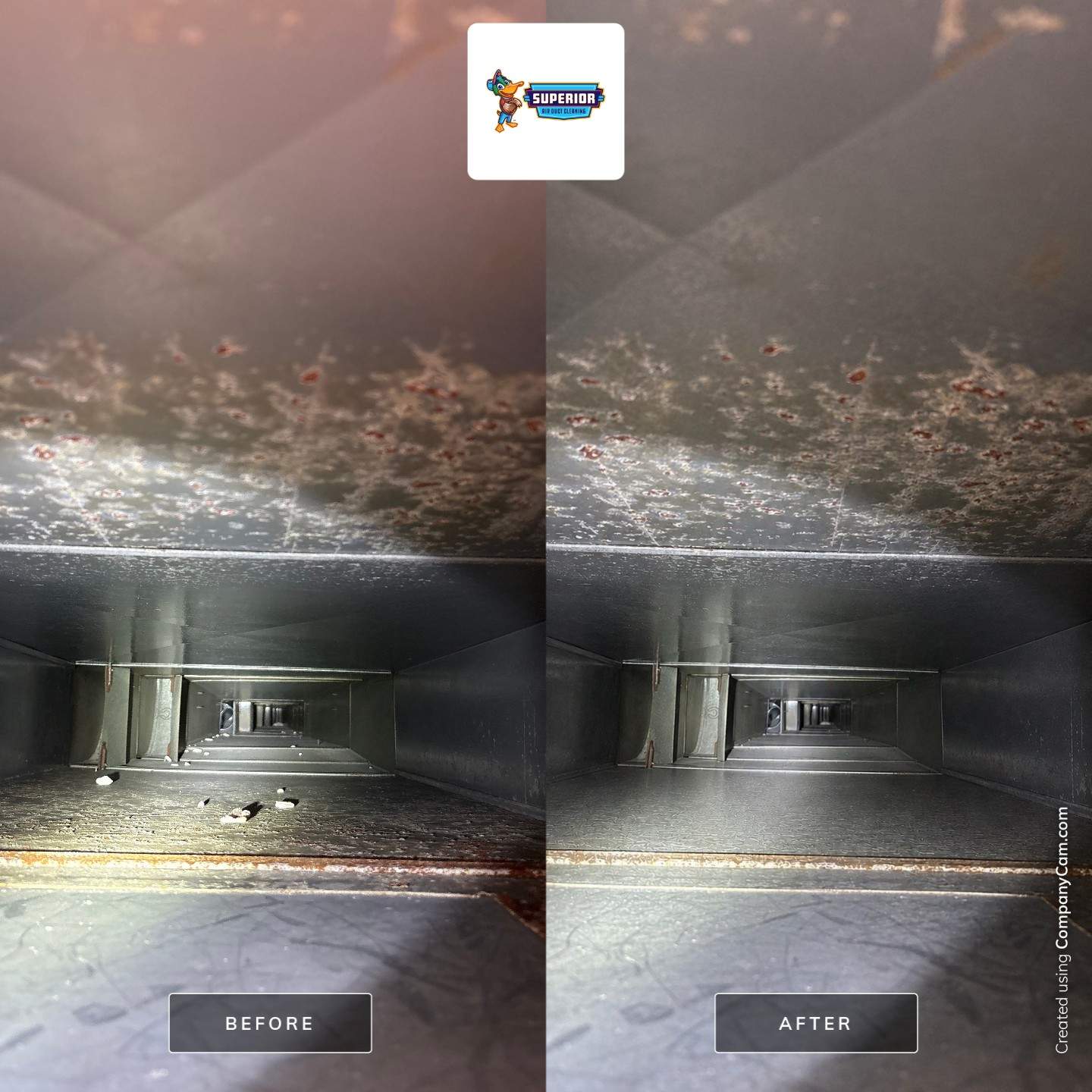 Residential Air Duct Cleaning Service in Fox Chapel by Superior Air Duct Cleaning