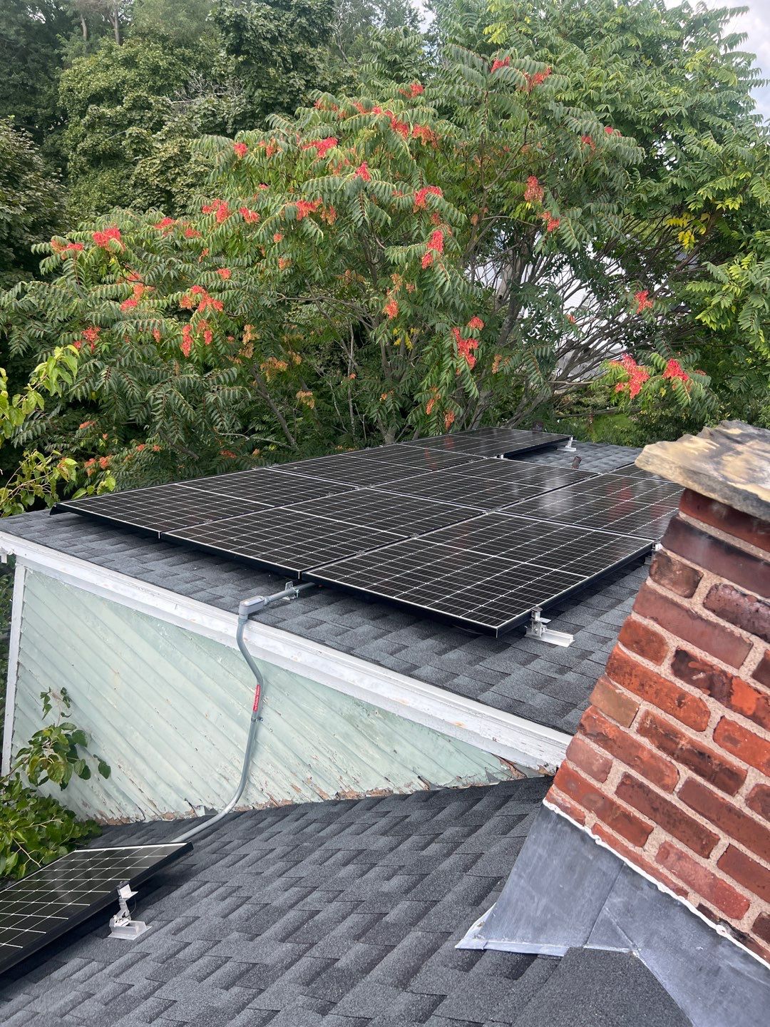 Silver Birch Shingles by Reimagine Roofing