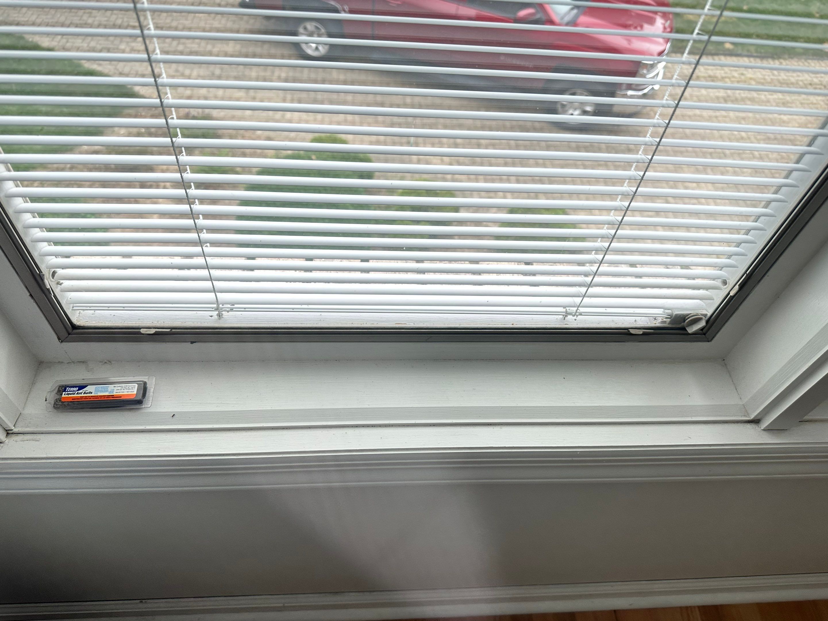Window Installation using Pella Windows by Home Concepts Construction