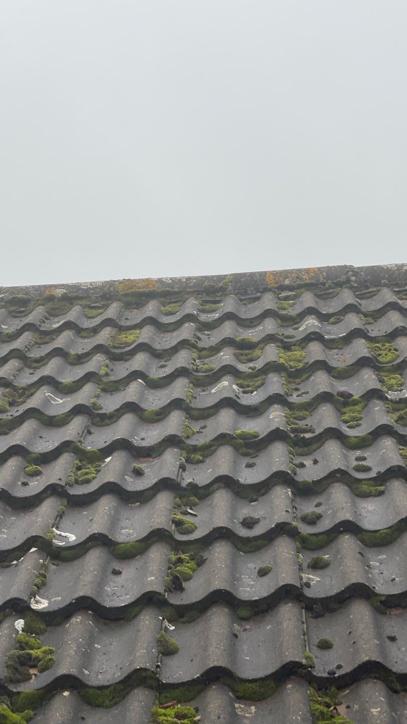 Roof Clean and Biocide Treatment using Honda 15lpm Low Pressure Washing Machine by Ges Exterior Cleaning ltd