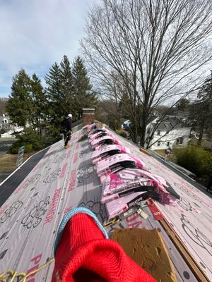 Project in Lexington