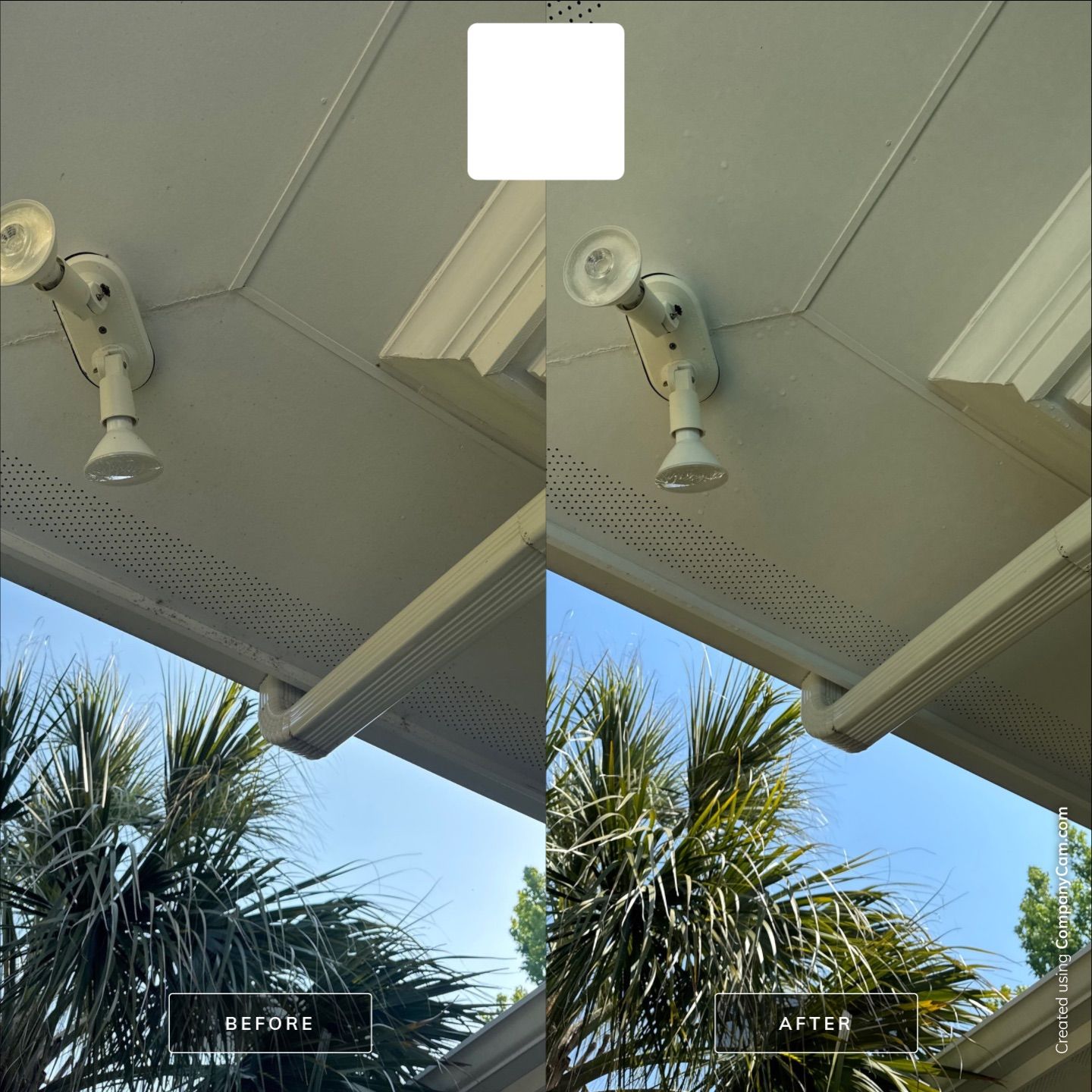 Pressure Washing in Landfall by Shark Power Washing