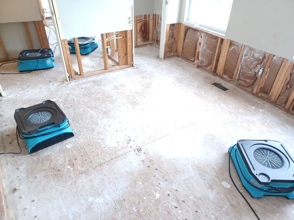 Project in Mt Morris Township by EzDry Water Mitigation & Property Restoration