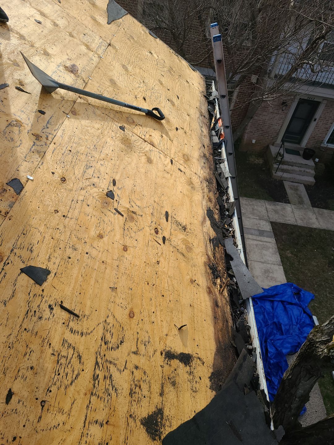 Burke CertainTeed Landmark Pro Roof in Max Def Espresso by RM Banning, Inc.