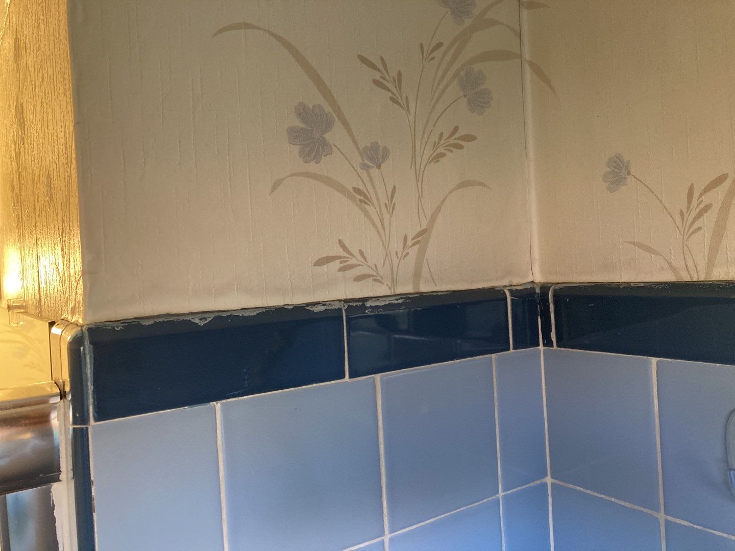 Water Damage Repair by Accountable Home Services