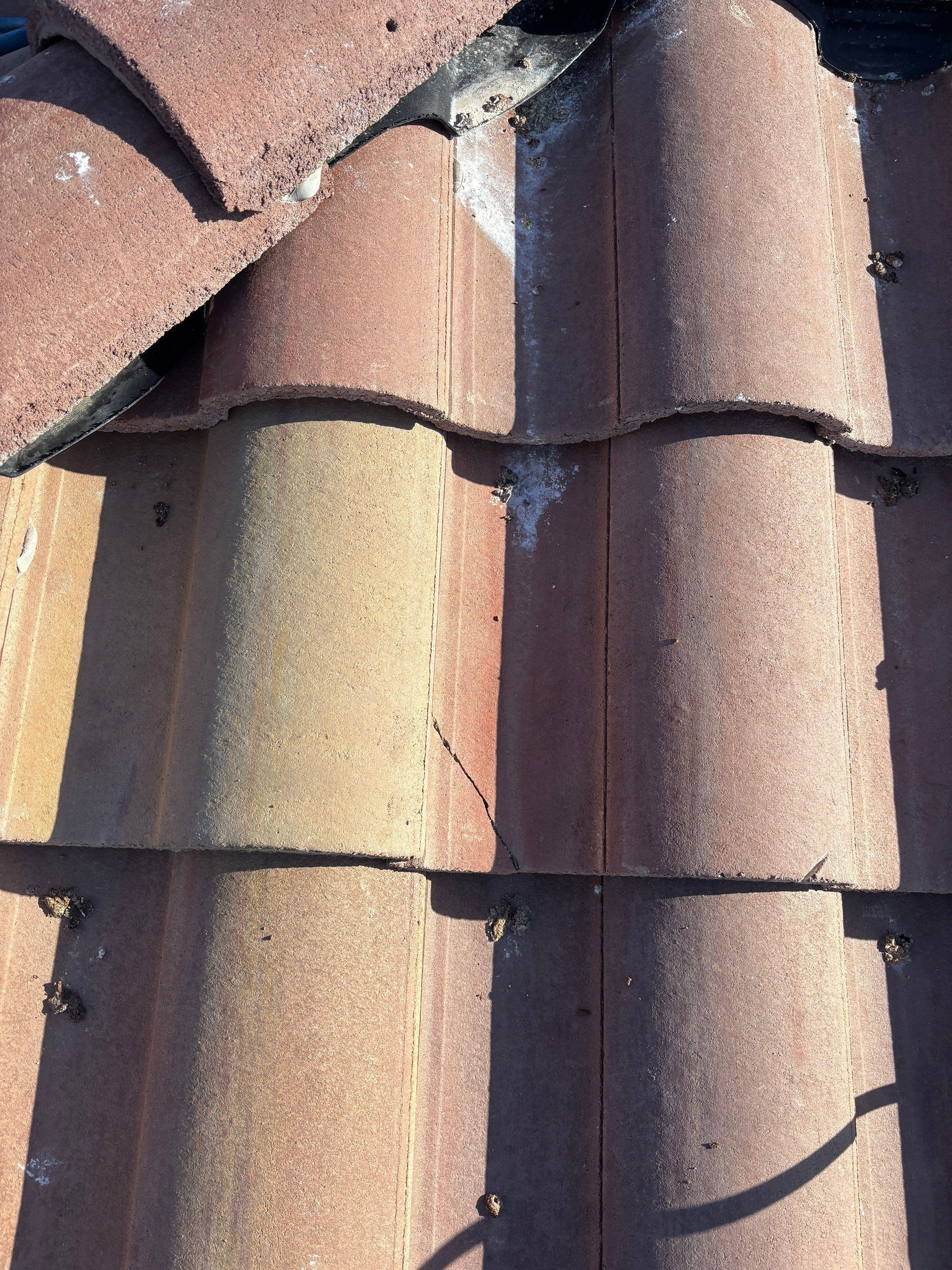 Bird Proofing Project in Victorville Ca by Palm Coast Solar Cleaning