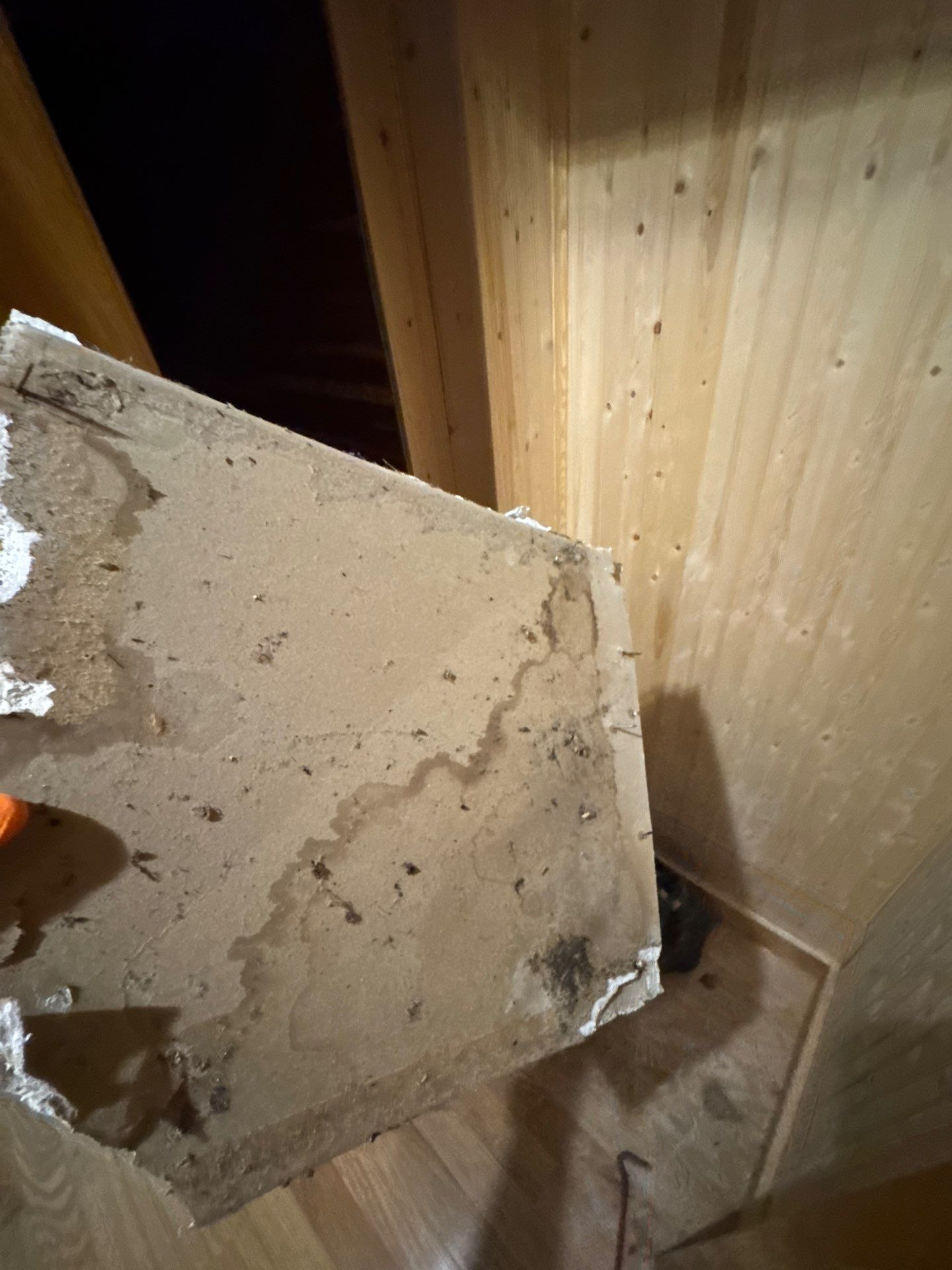 Mold Remediation in Menomonee Falls by Dry Source Property Restoration 