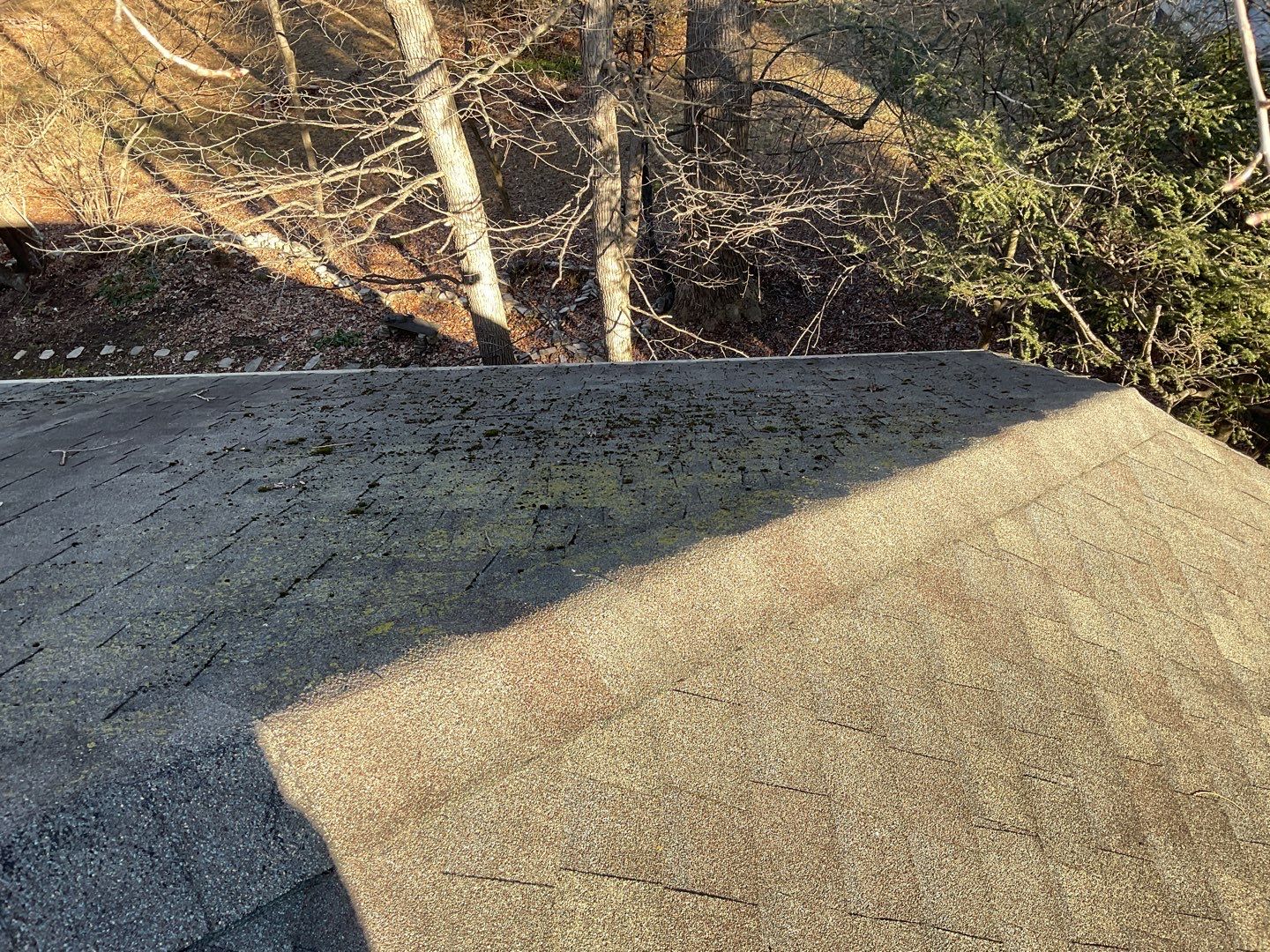 Install new shingles and new skylights  by Alpha Design Services