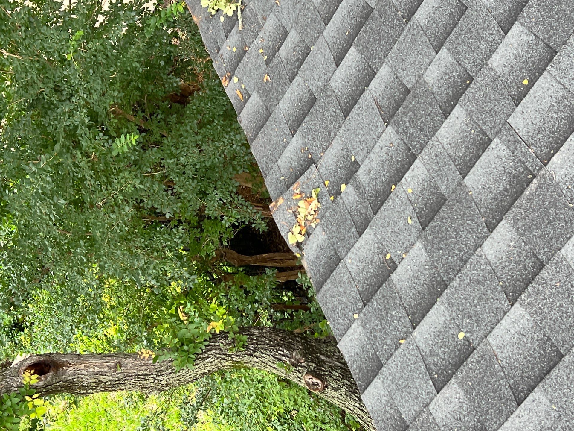 Project in Dallas by Rhino Roofing and General Contracting, LLC