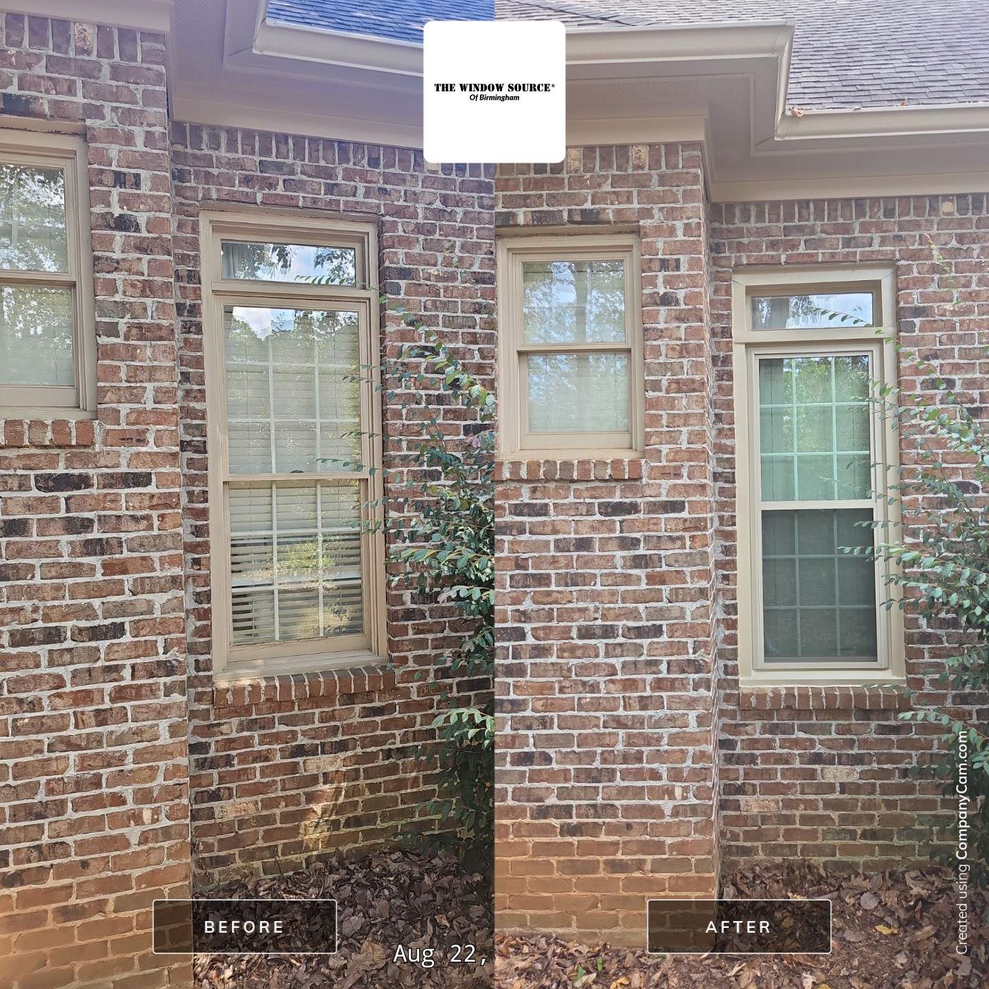 Dew Project in Hoover by The Window Source