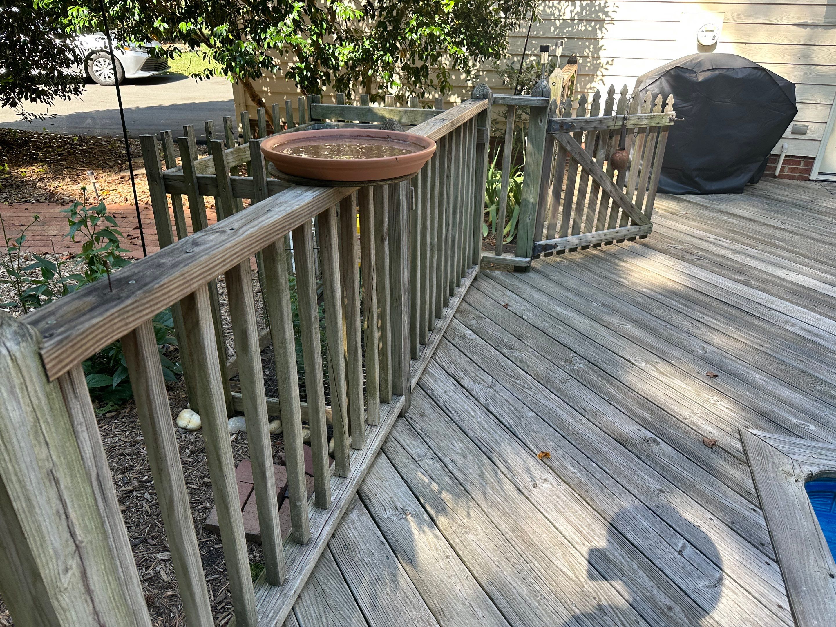 Pool Deck using Wood Sealant by DuraSeal