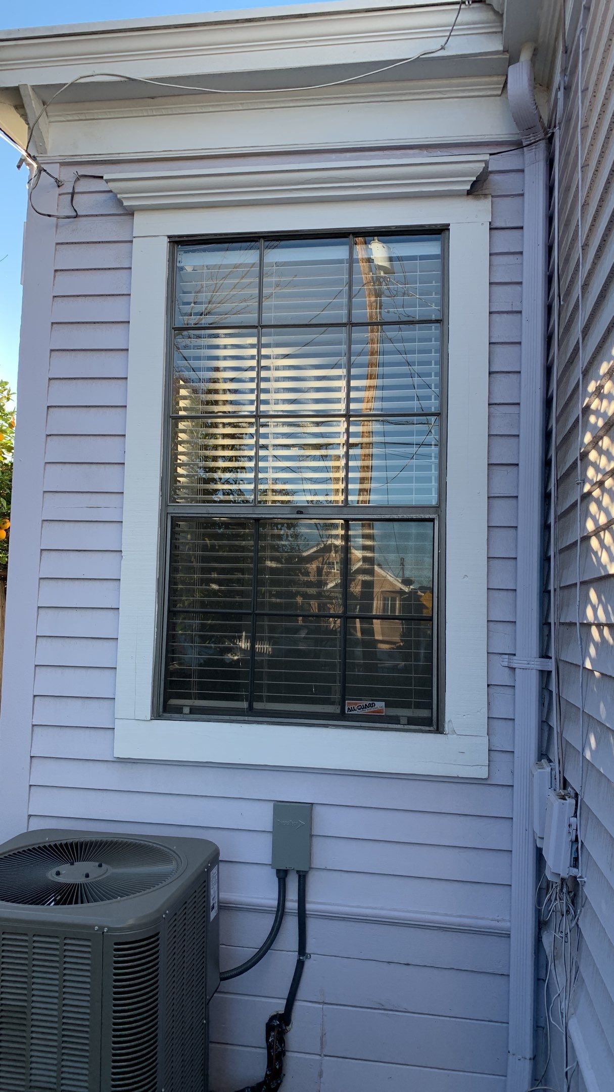 Reka Kiss Listing -1521 D Street Hayward by SpotFree Window Cleaning