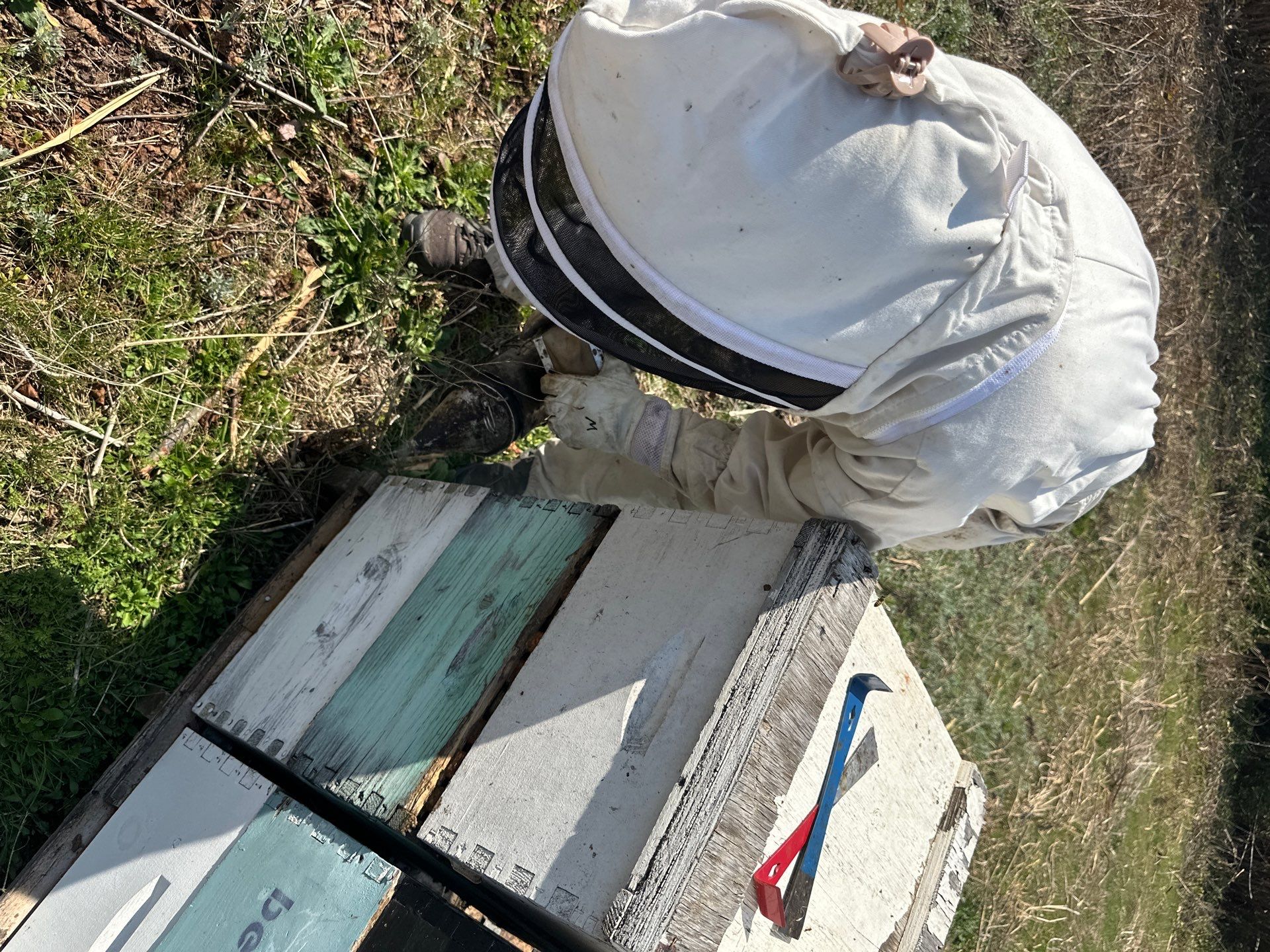 Teaching at an Apiary in Rowlett by Rockwall Honey Bee Company