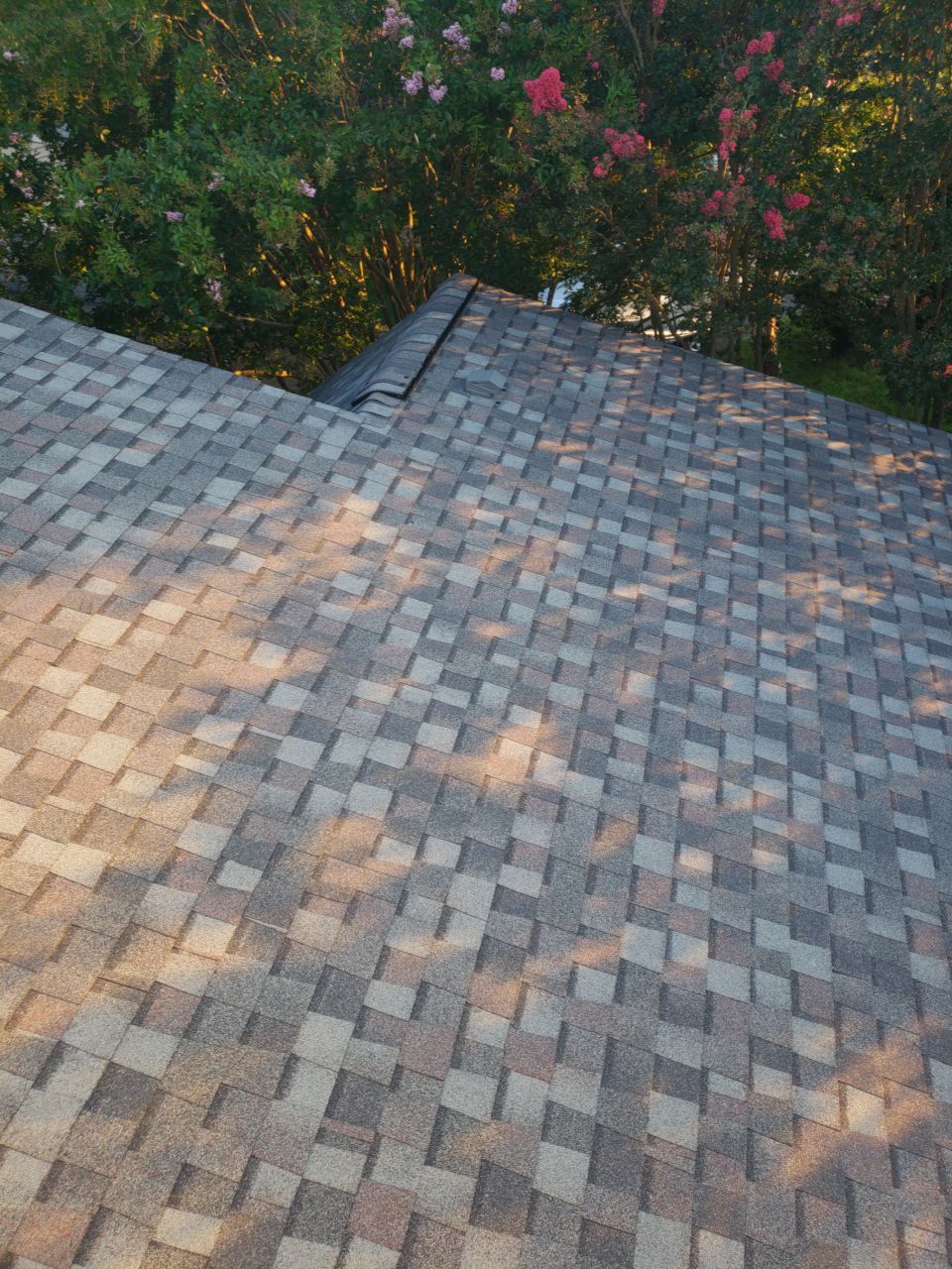 Alexandria: CertainTeed Landmark Pro Designer Shingles in Max Def Colonial Slate by RM Banning, Inc.