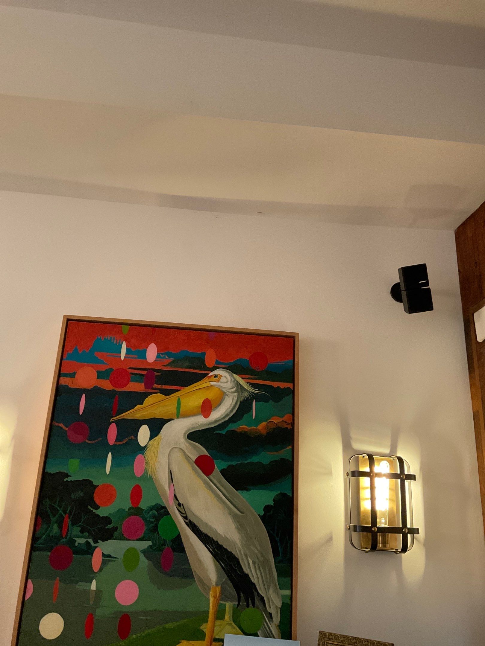 Full Exterior & Interior Updates in South Philadelphia by Groovy Hues