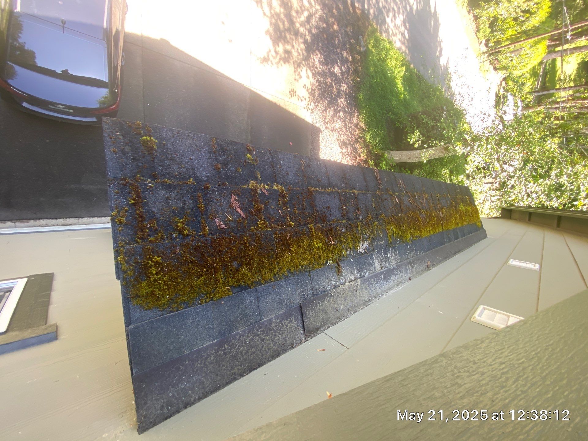 AGS Roof Wash in North Bend, WA by WindowWorks
