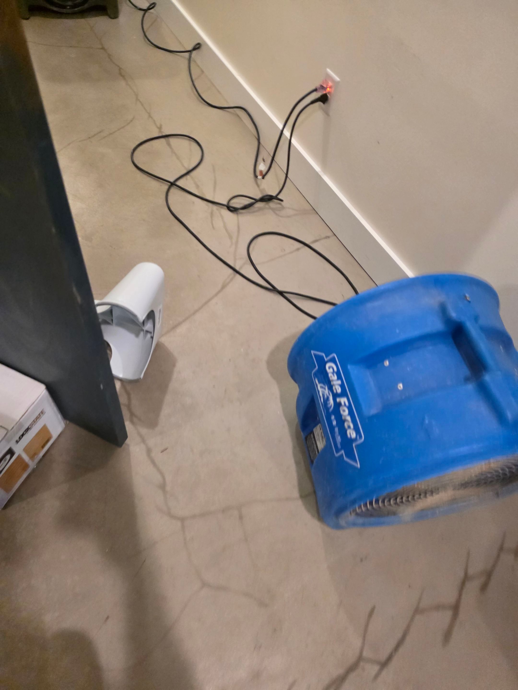 Anna and Allan Branch  by Service Restoration