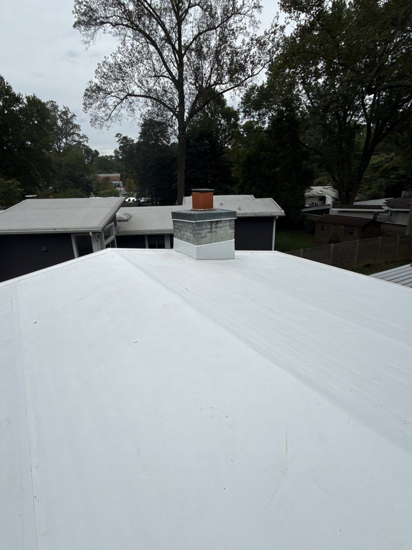 Falls Church :  TPO by RM Banning, Inc.