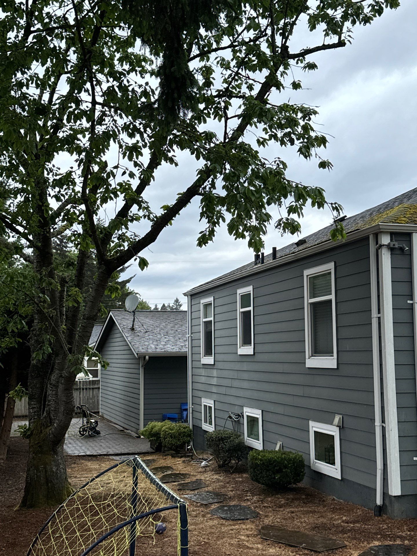 Project in Seattle by Peaks and Valleys Construction