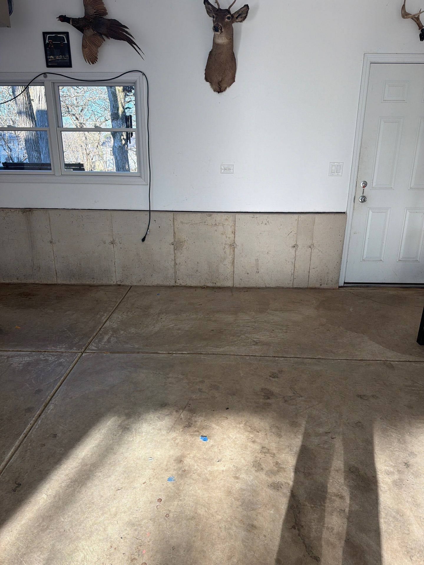 Greg L3 Car Garage by Torq Coatings