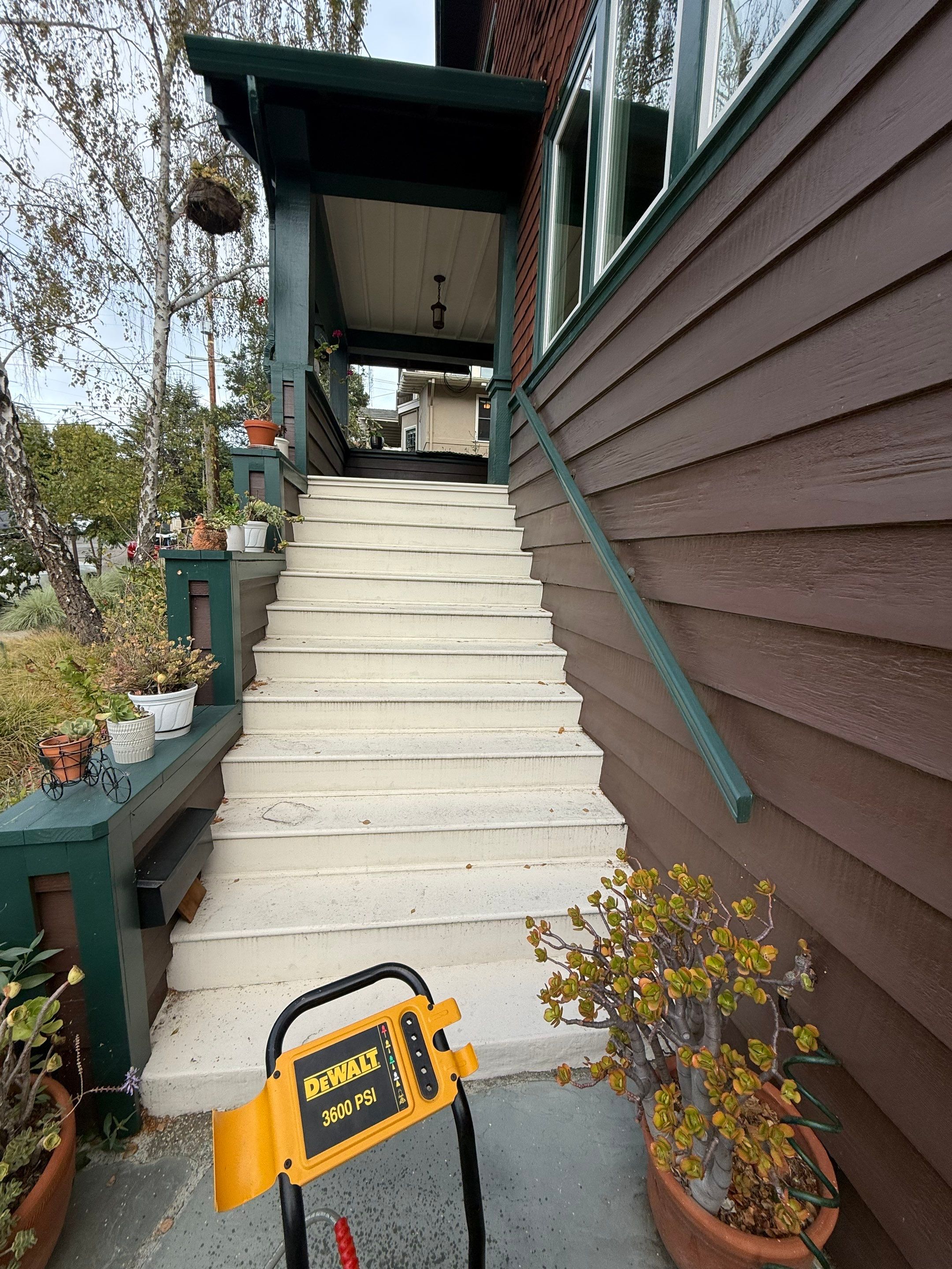 Full back garden refresh by SpotFree Window Cleaning