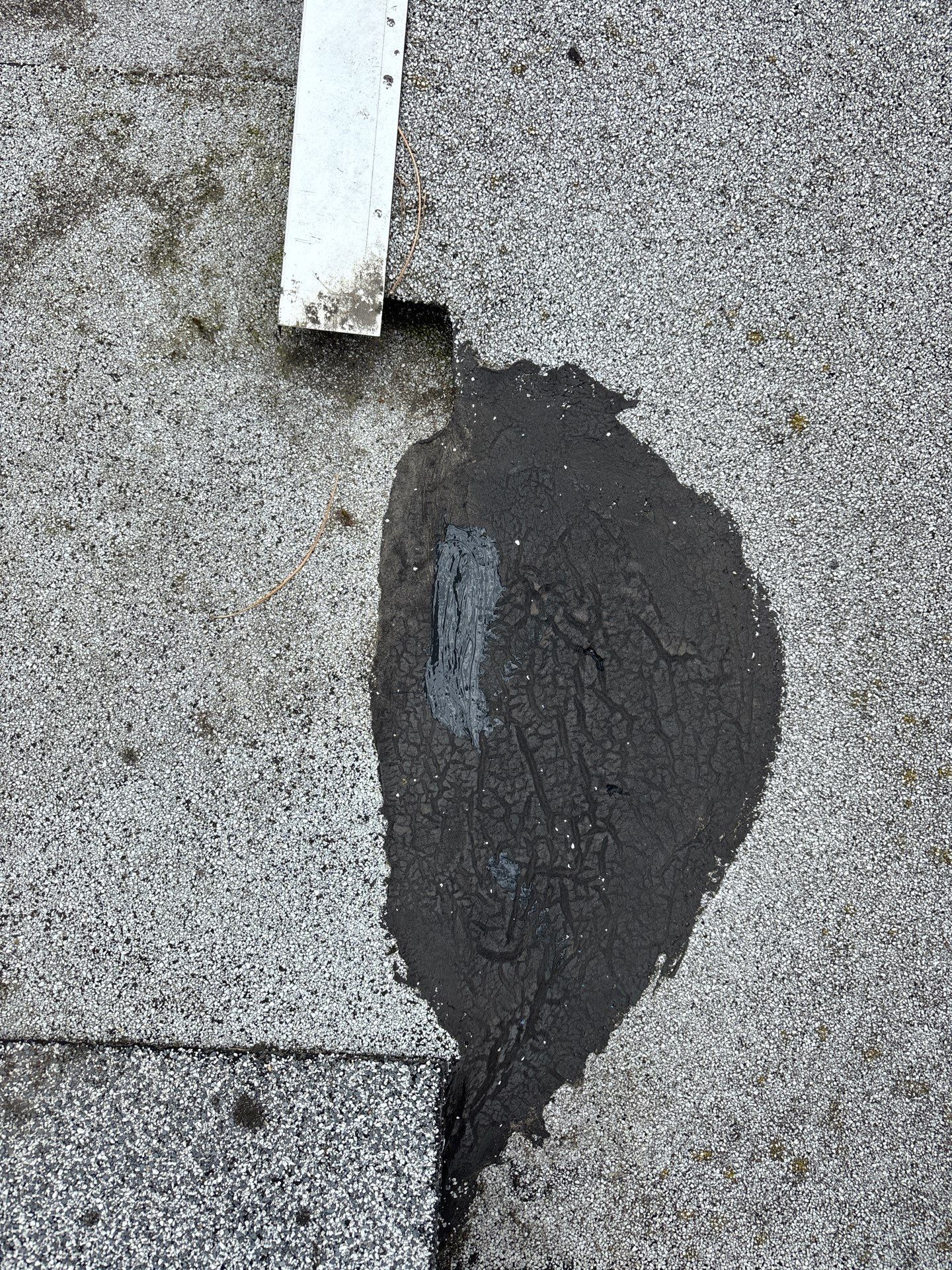 Roof Insurance Repairs in Portland by Prodigy Roof Solutions