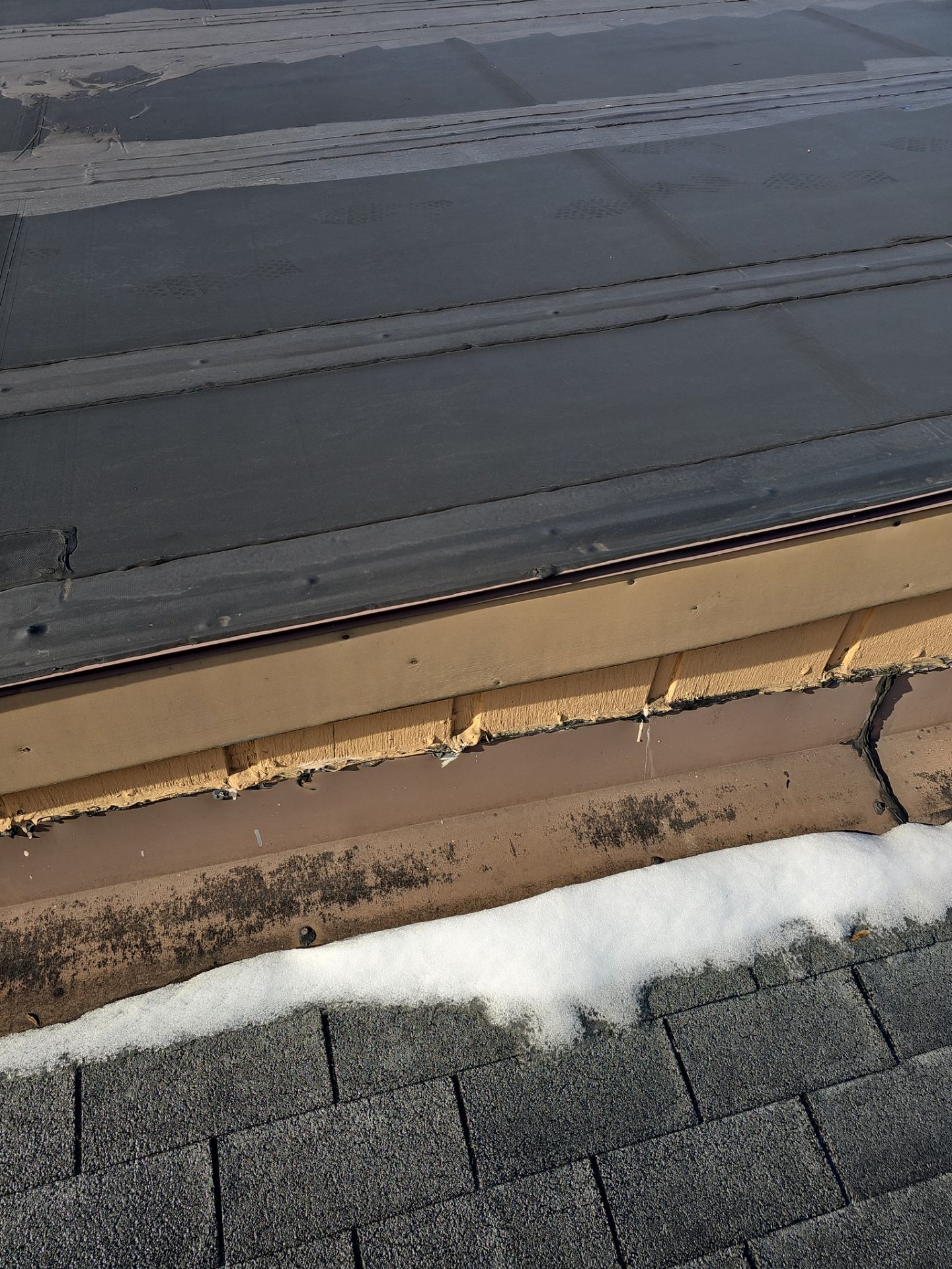 HP Starr by 768 ROOF, LLC.