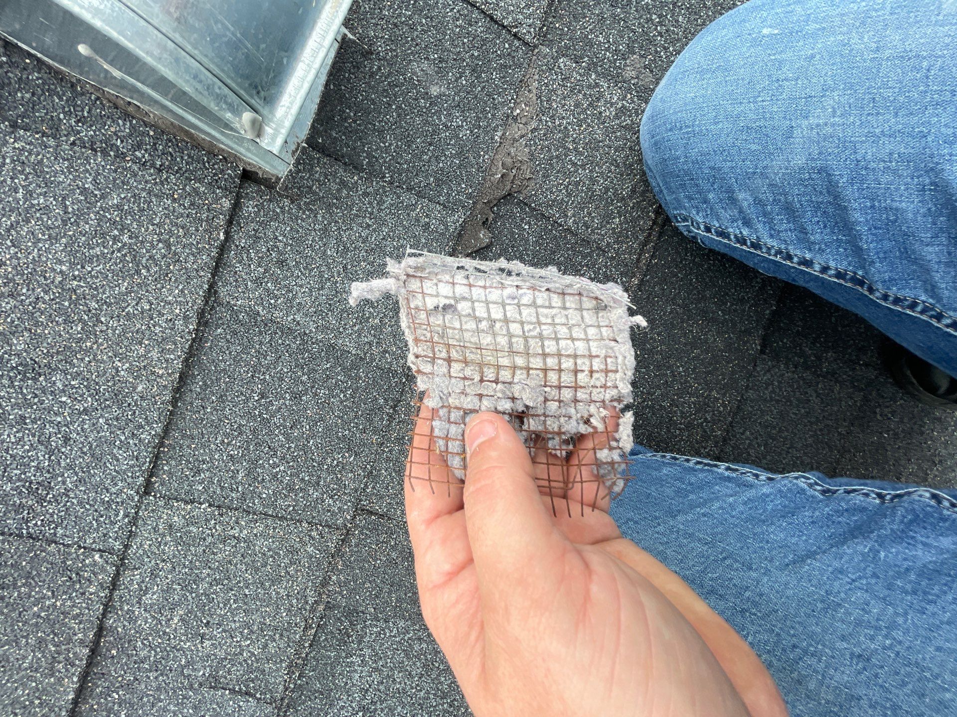 Dryer Vent Cleaning & Screen Removal in Orlando by Hygienic Air, Inc