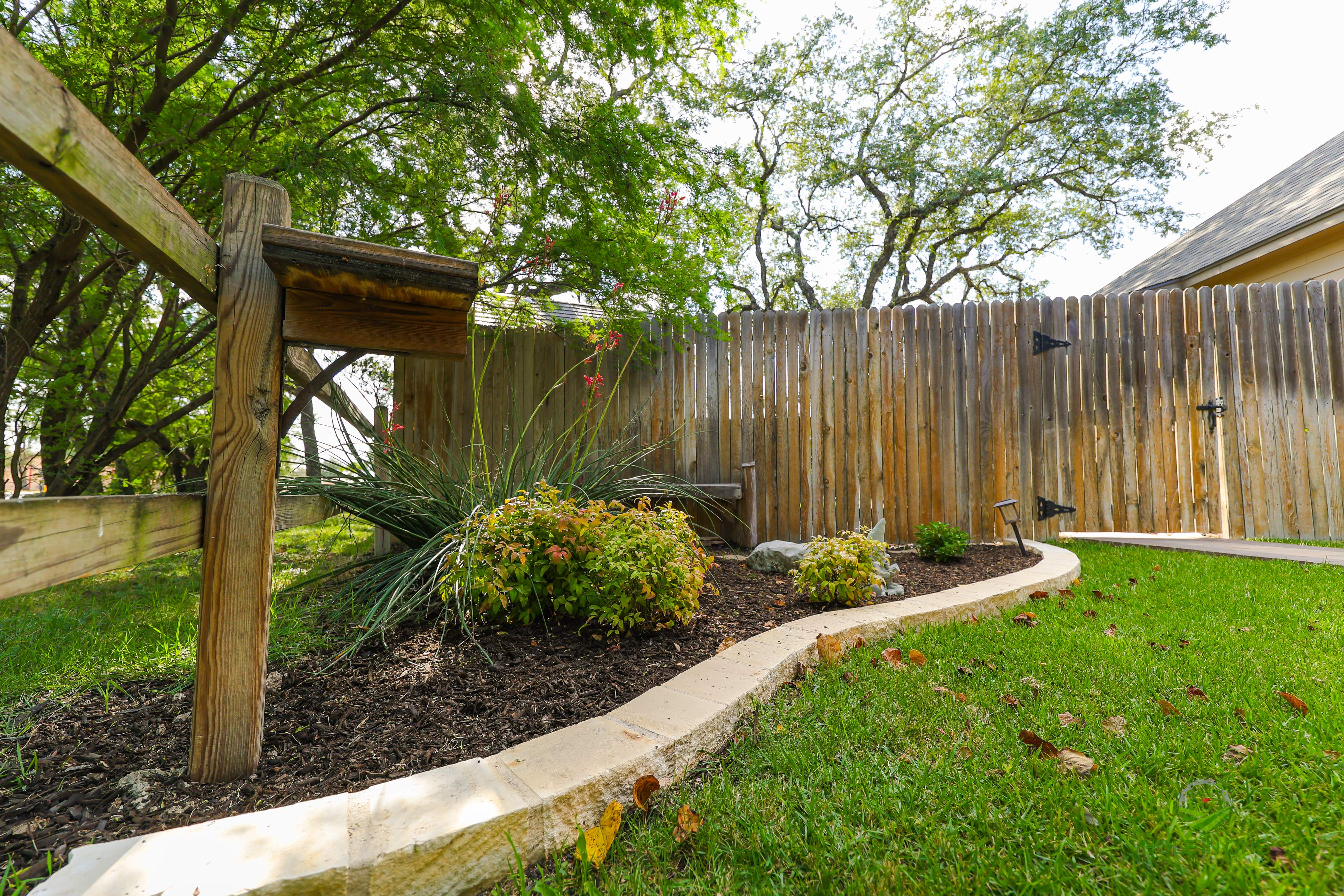 Wortham Oak, San Antonio TX by Hole In One Lawns, LLC