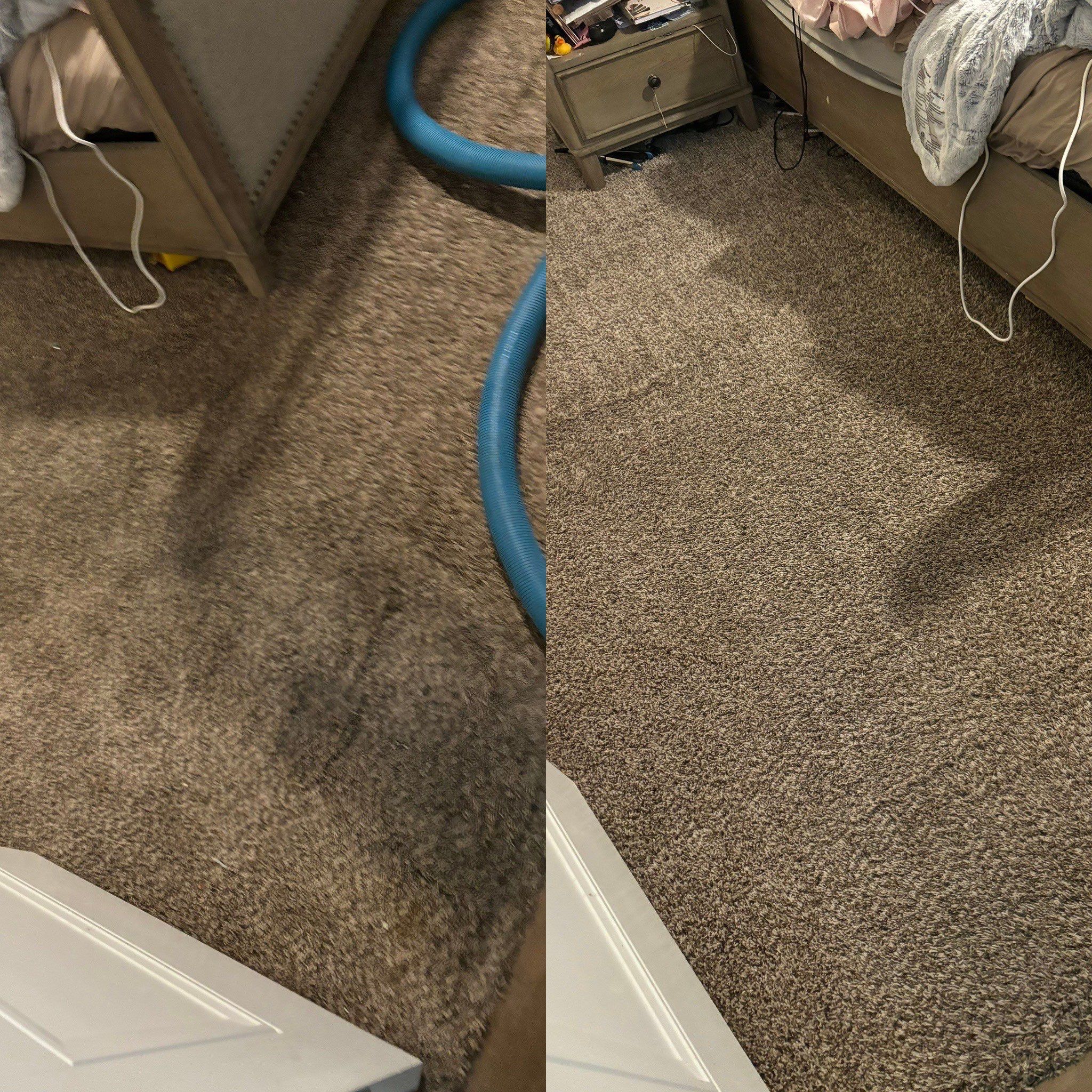 the service shown is carpet cleaning with noticeable dirt removal from the surface enhancing the overall appearance of the carpet